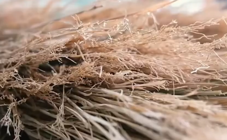 高品質な素材へのこだわり